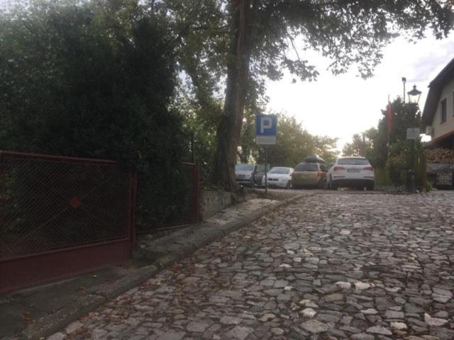 Zielone Wzgorze Na Starowce Διαμέρισμα Sandomierz Εξωτερικό φωτογραφία