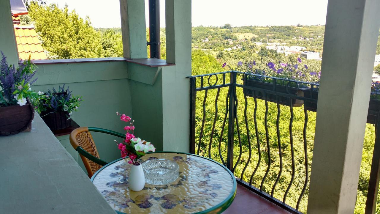 Zielone Wzgorze Na Starowce Διαμέρισμα Sandomierz Εξωτερικό φωτογραφία